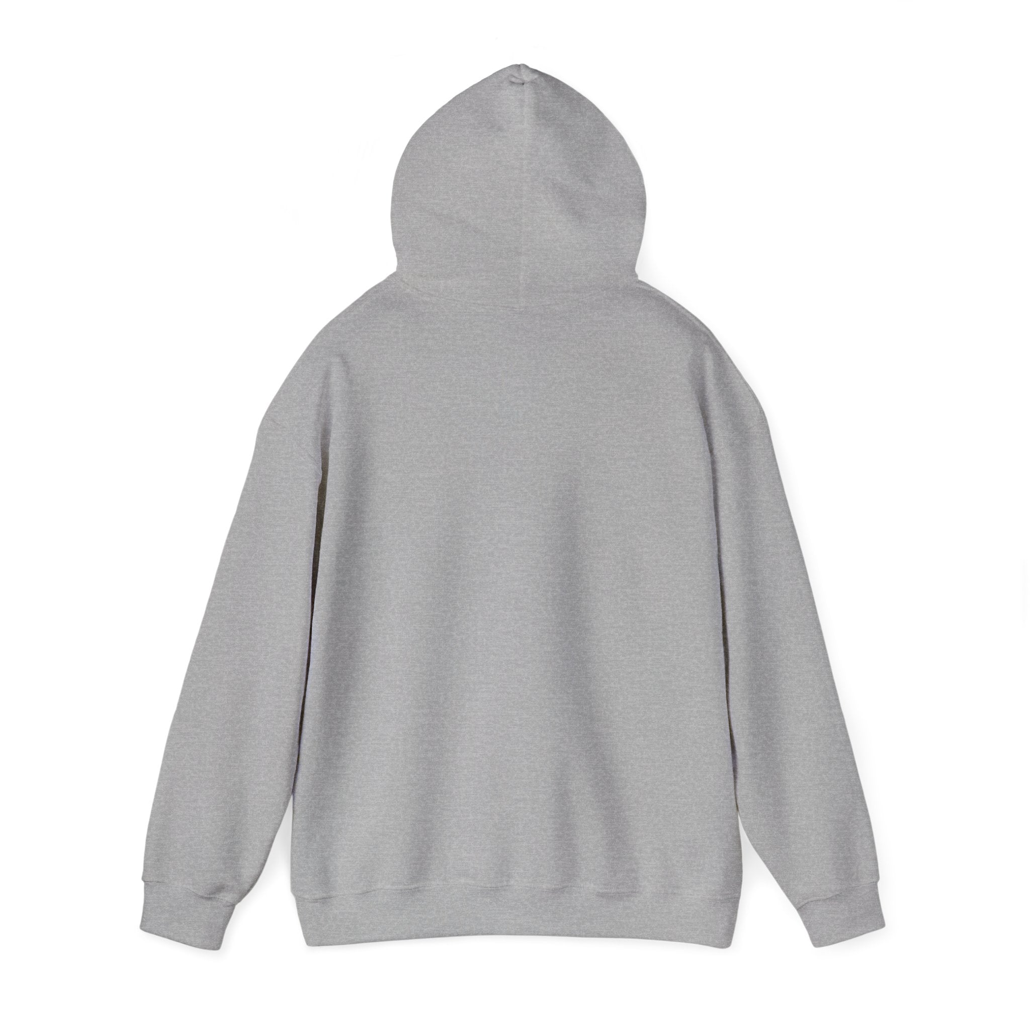Albert Einstein Unisex Heavy Blend™ Hooded Sweatshirt