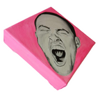 Baby Mac in Hot Pink Oil Painting